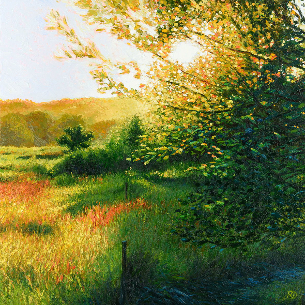 Olieverfschilderijen