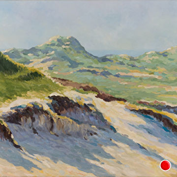 Zonnig duinlandschap