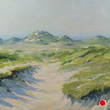 Duinlandschap bij Schoorl
