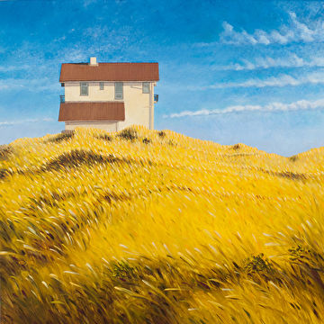 Huis in het gras (Bergen aan Zee)