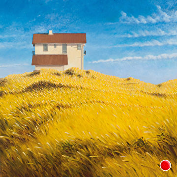 Huis in het gras (Bergen aan Zee)