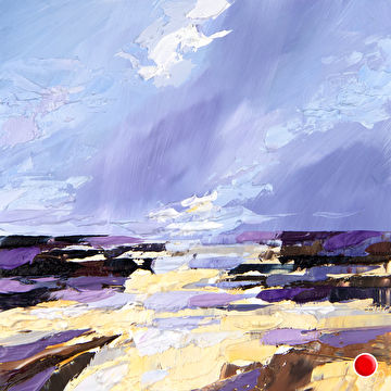 Impressie Duin en Zee 01