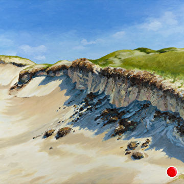 Duinlandschap Starrevlak