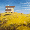 Huis in het gras (Bergen aan Zee)